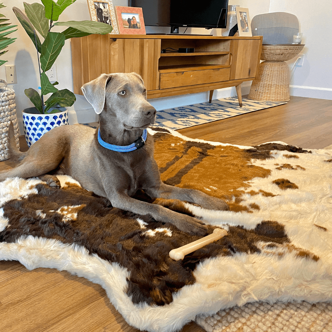 PupRug® Animal Print Memory Foam Dog Bed - Brown Faux Cowhide image 4