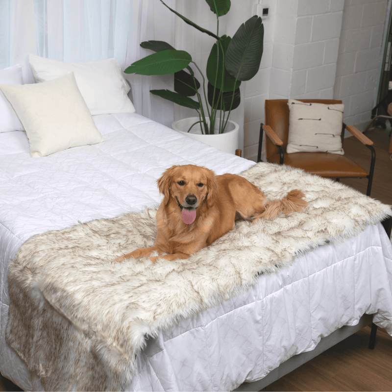 PupProtector™ Waterproof Bed Runner - White with Brown Accents product image