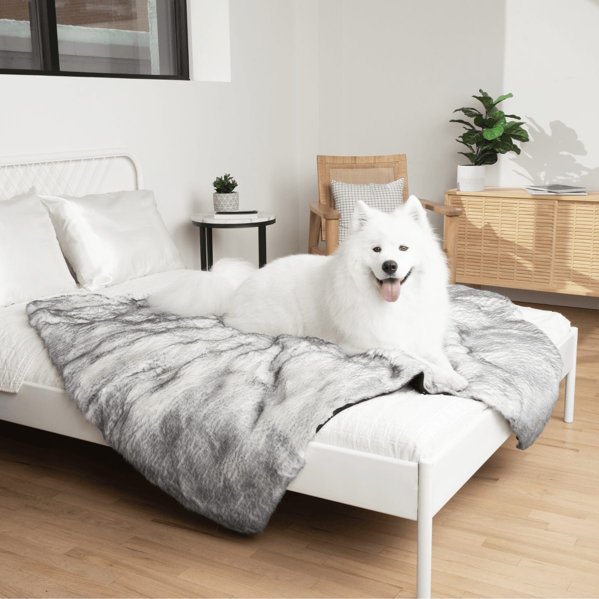 PupProtector™ Luxe Waterproof Faux Fur Blanket - Ultra Plush Arctic Fox product image