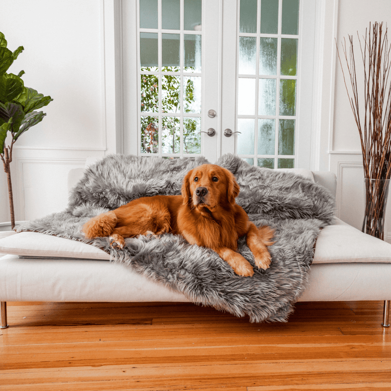 PupProtector™ Waterproof Throw Blanket - Charcoal Grey product image