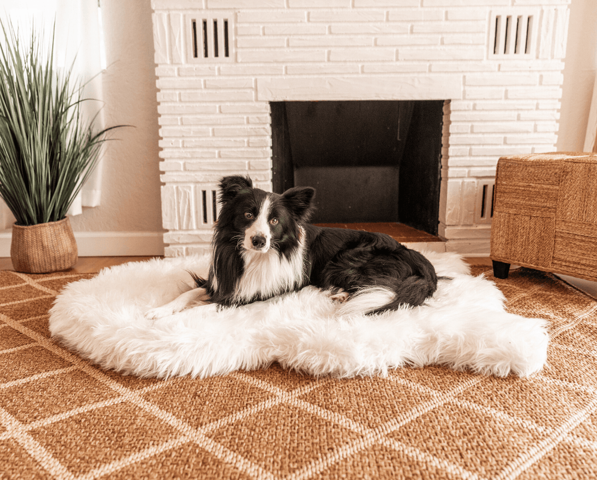 PupRug by Paw.com® Faux Fur Orthopedic Dog Bed - Curve Polar White image 2