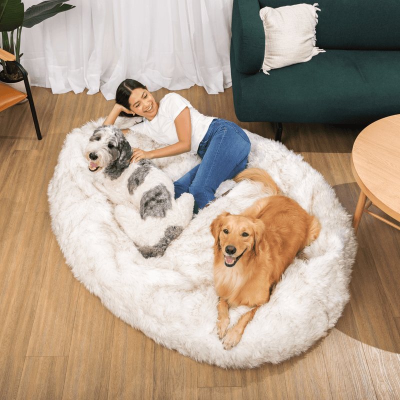 PupCloud™ Human-Size Faux Fur Memory Foam Dog Bed - White with Brown Accents product image