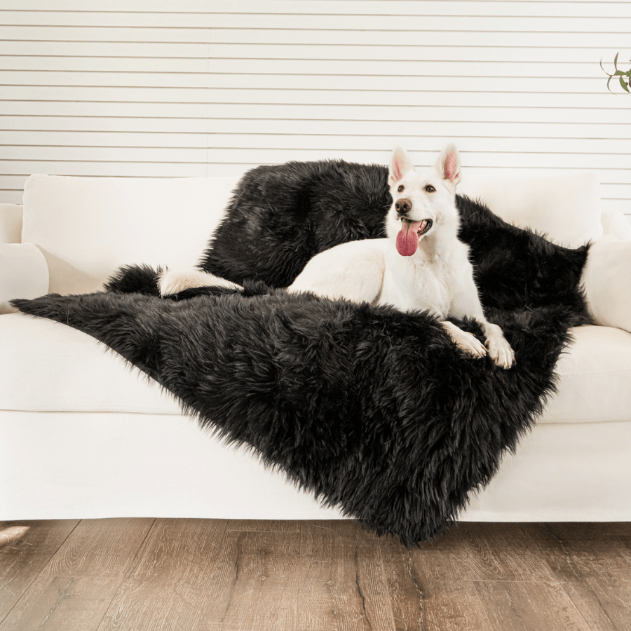 PupProtector™ Waterproof Throw Blanket - Midnight Black product image