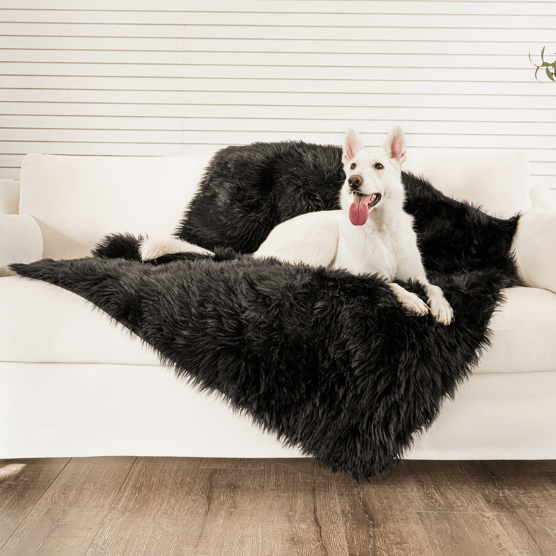 PupProtector™ Waterproof Throw Blanket - Midnight Black product image