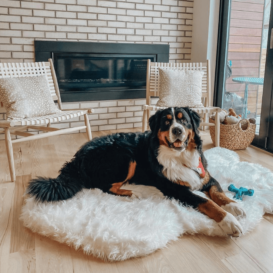 PupRug by Paw.com® Faux Fur Orthopedic Dog Bed - Curve Polar White image 4