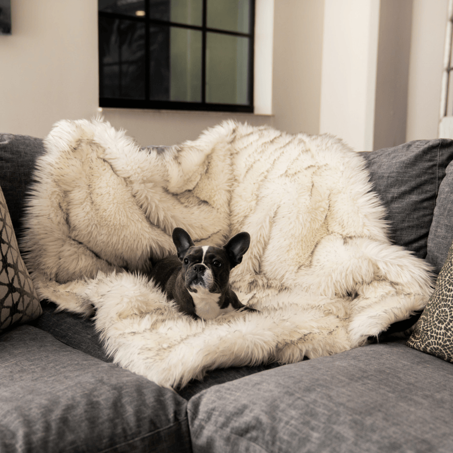 PupProtector™ Waterproof Throw Blanket - White with Brown Accents image 4