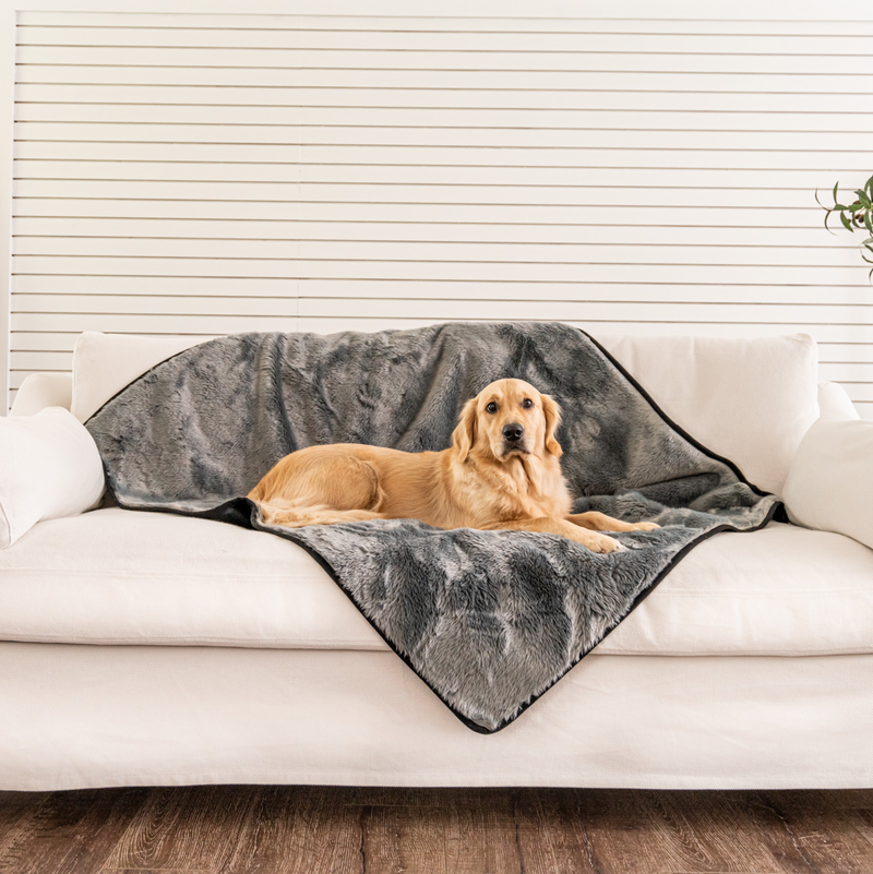 PupProtector™ Summer Short Fur Waterproof Throw Blanket - Charcoal Grey product image