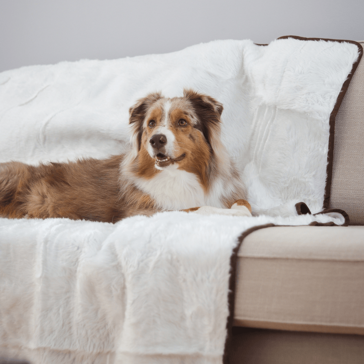 PupProtector™ Summer Short Fur Waterproof Throw Blanket - Polar White image 3