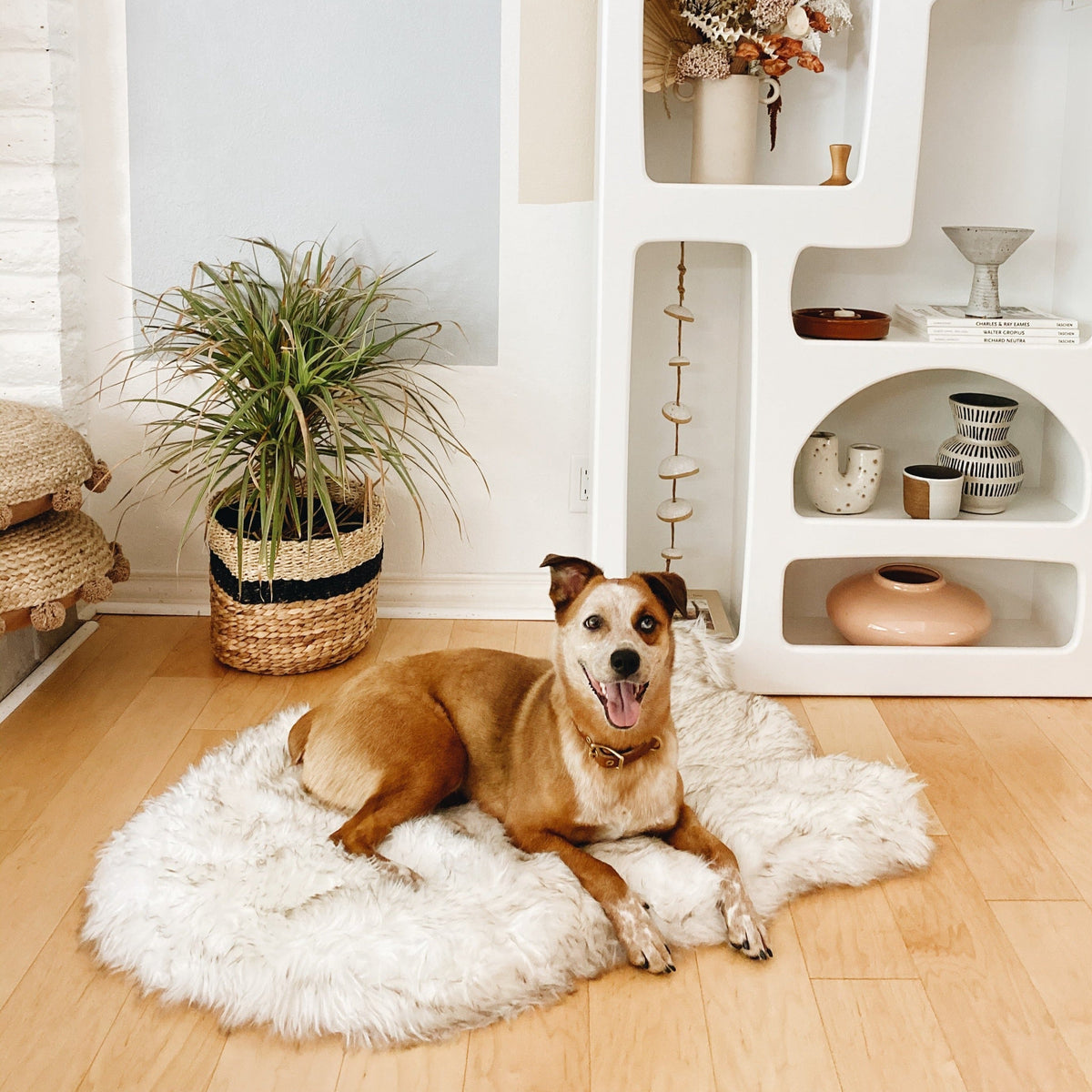 PupRug by Paw.com® Faux Fur Orthopedic Dog Bed - Curve White with Brown Accents image 2