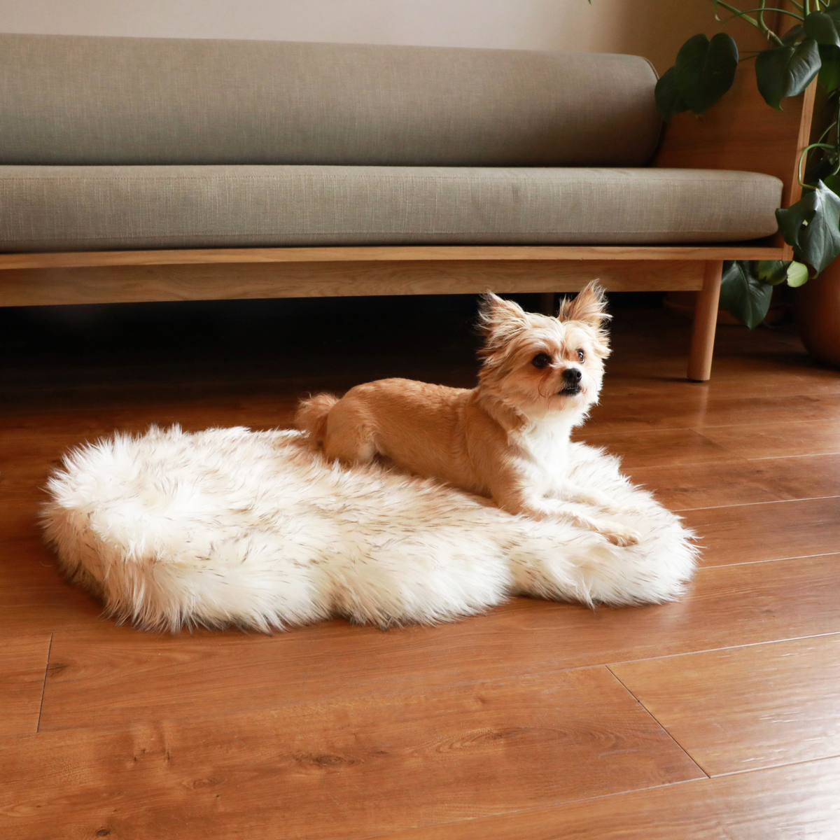 PupRug by Paw.com® Faux Fur Orthopedic Dog Bed - Curve White with Brown Accents image 3