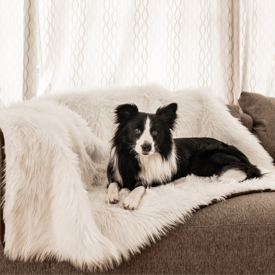PupProtector™ Waterproof Throw Blanket - Polar White image 5