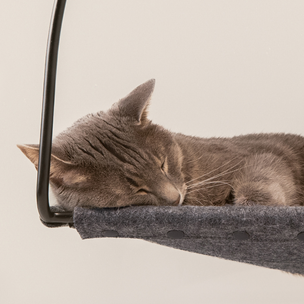 Cloud Nine Window Hammock image 2