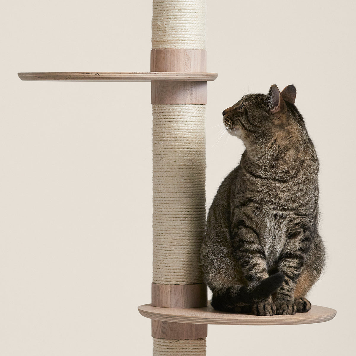 Frond Cat Tree image 2