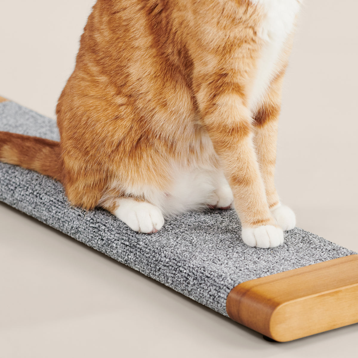 Tab Scratching Board image 2