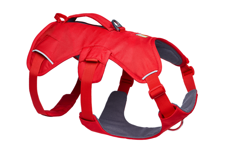 Web Master™ Dog Harness with Handle product image