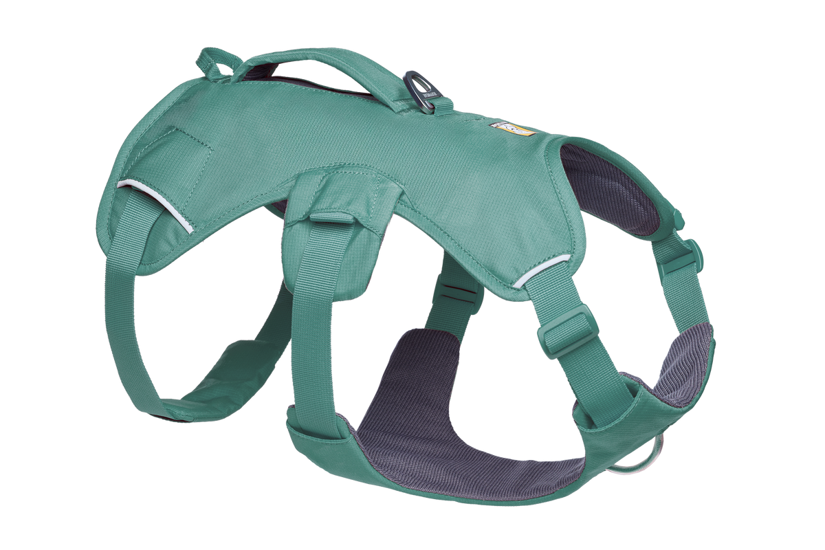 Web Master™ Dog Harness with Handle image 2