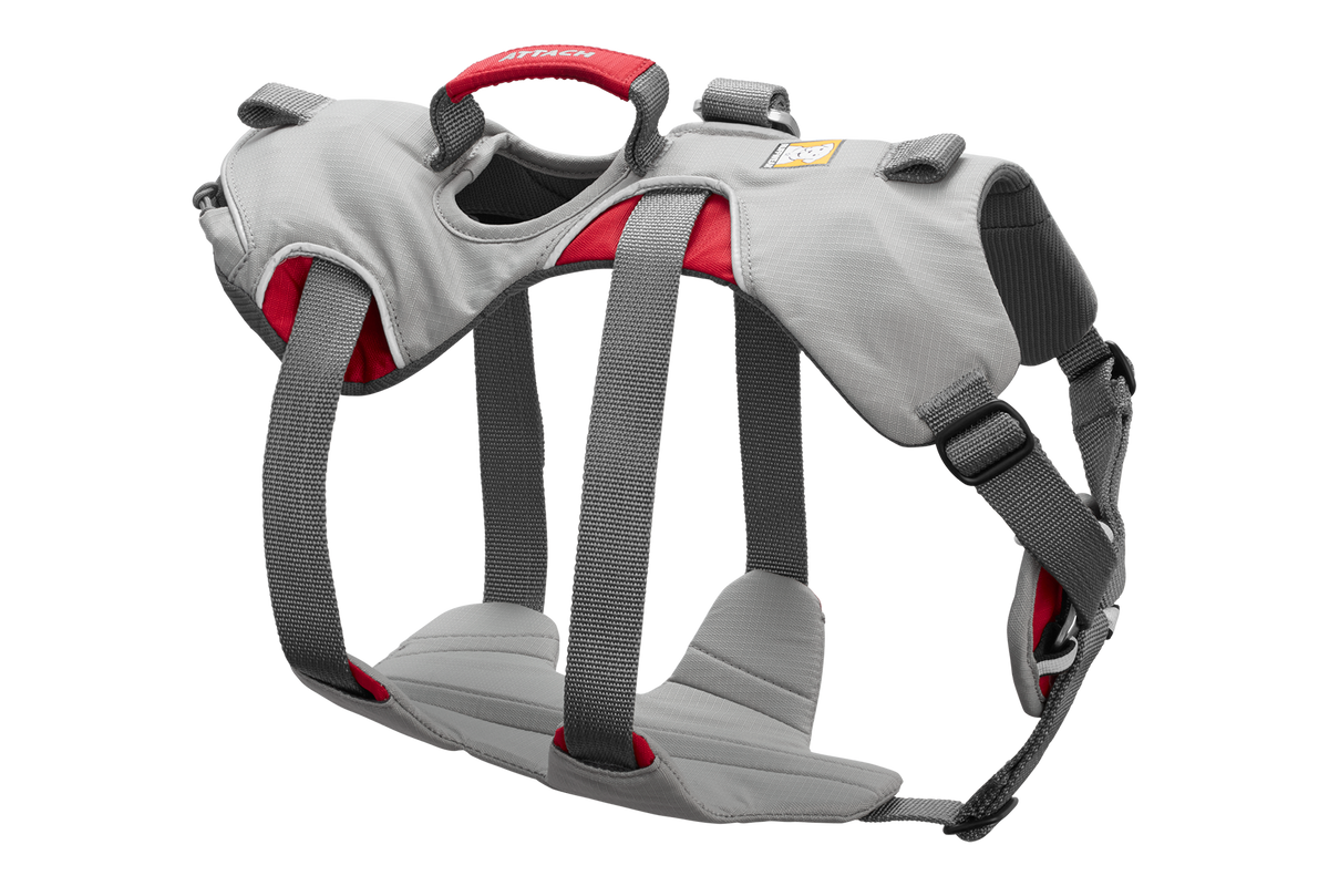 Doubleback™ Full Body Dog Harness image 4