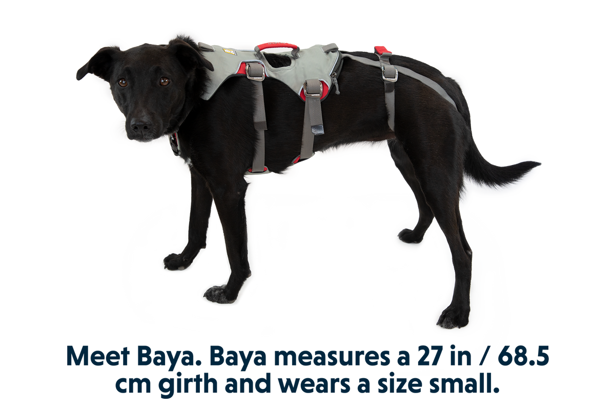 Doubleback™ Full Body Dog Harness image 2