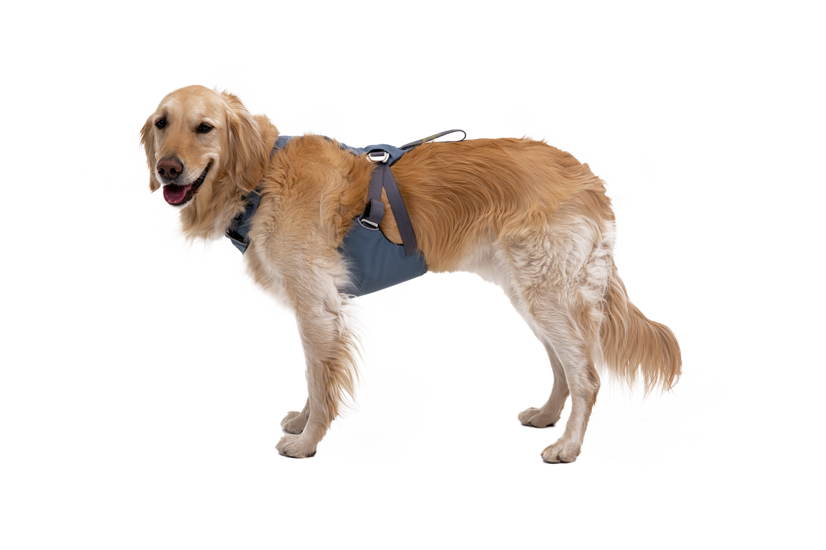 Load Up™ Dog Car Harness image 2