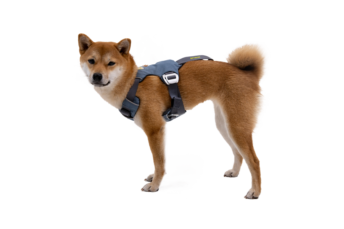 Load Up™ Dog Car Harness image 3