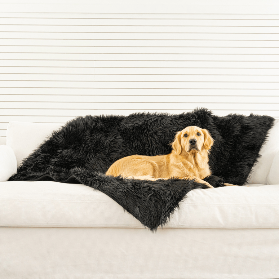PupProtector™ Waterproof Throw Blanket - Midnight Black image 2