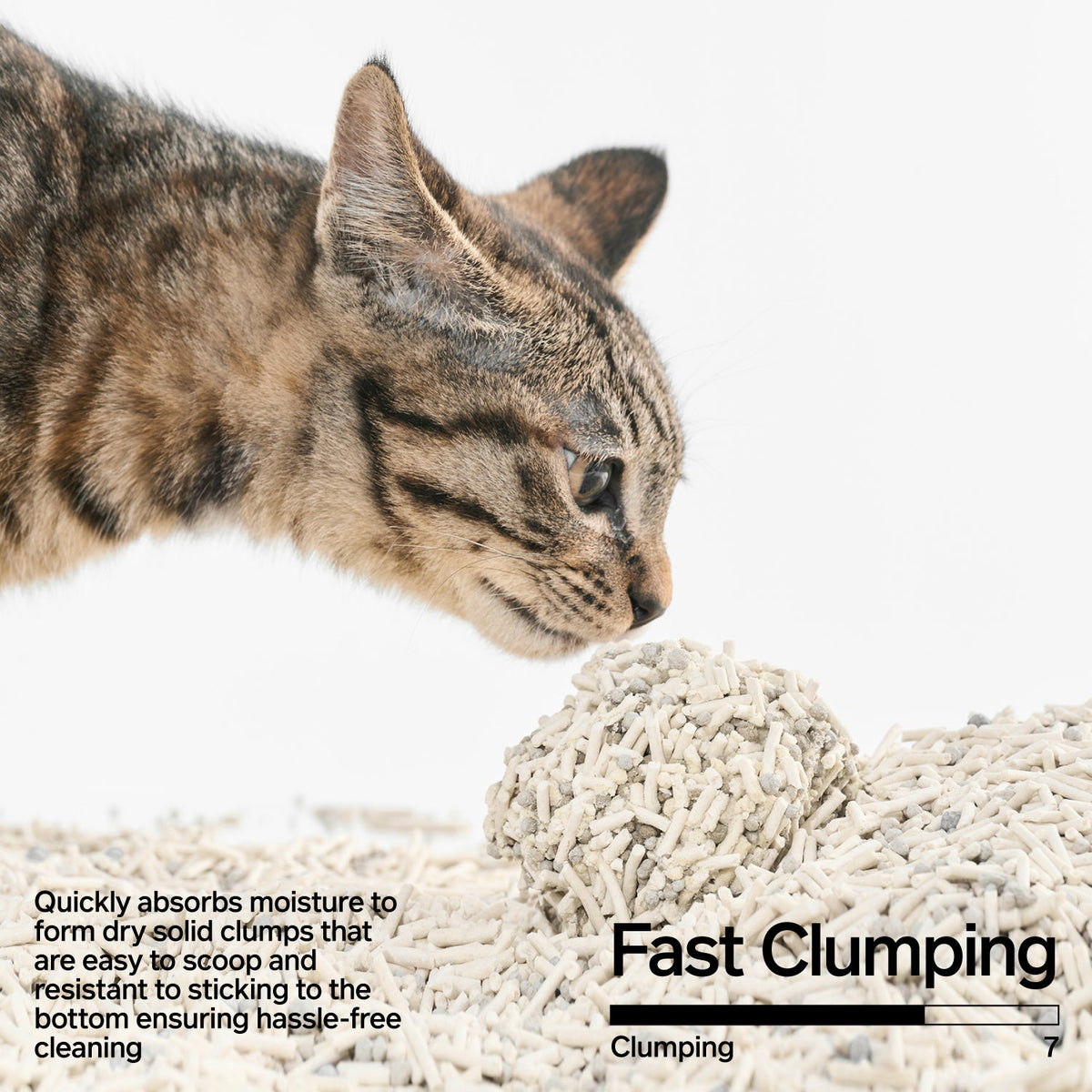 Signature Tofu Blend Cat Litter image 3