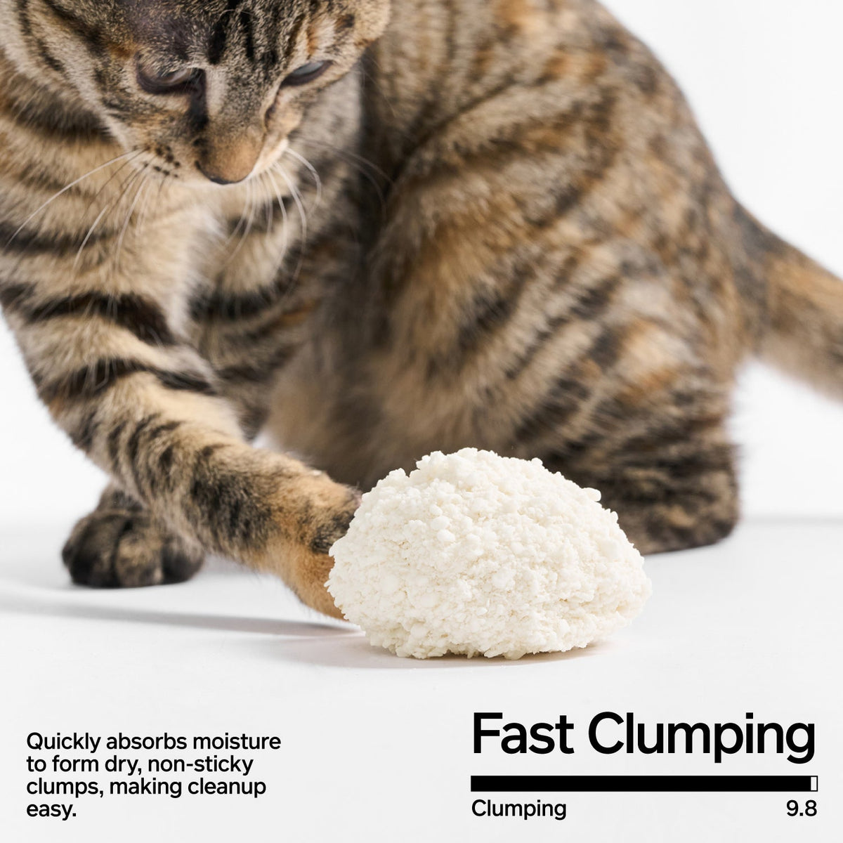 Cassava Cat Litter image 2