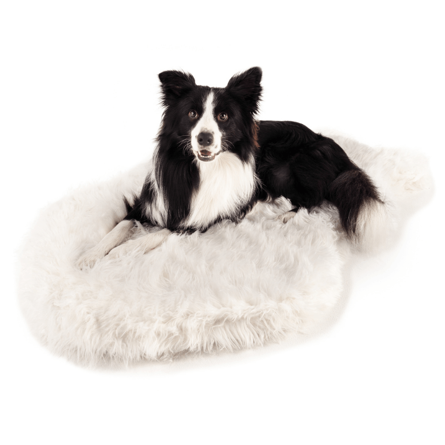 PupRug by Paw.com® Faux Fur Orthopedic Dog Bed - Curve Polar White image 3