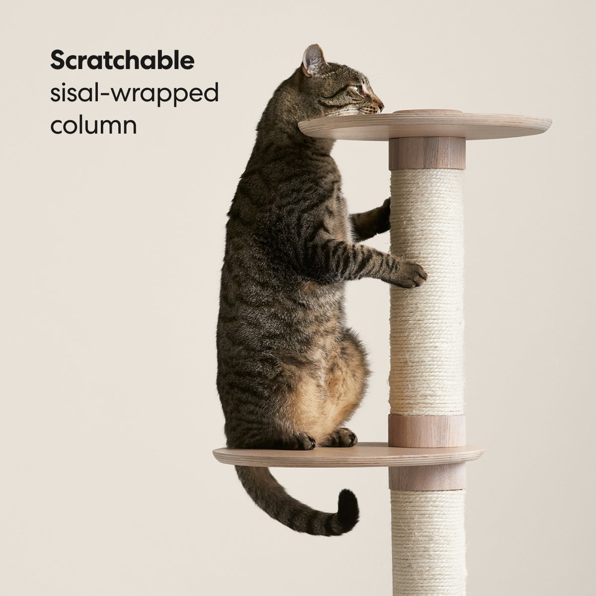 Frond Cat Tree image 3