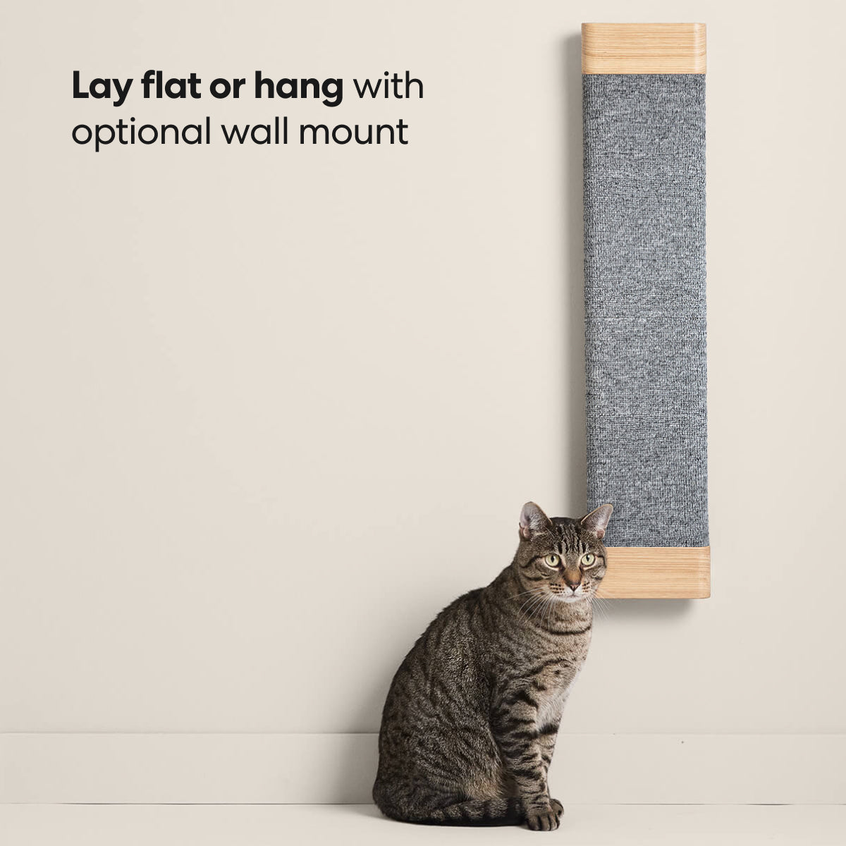 Tab Scratching Board image 3