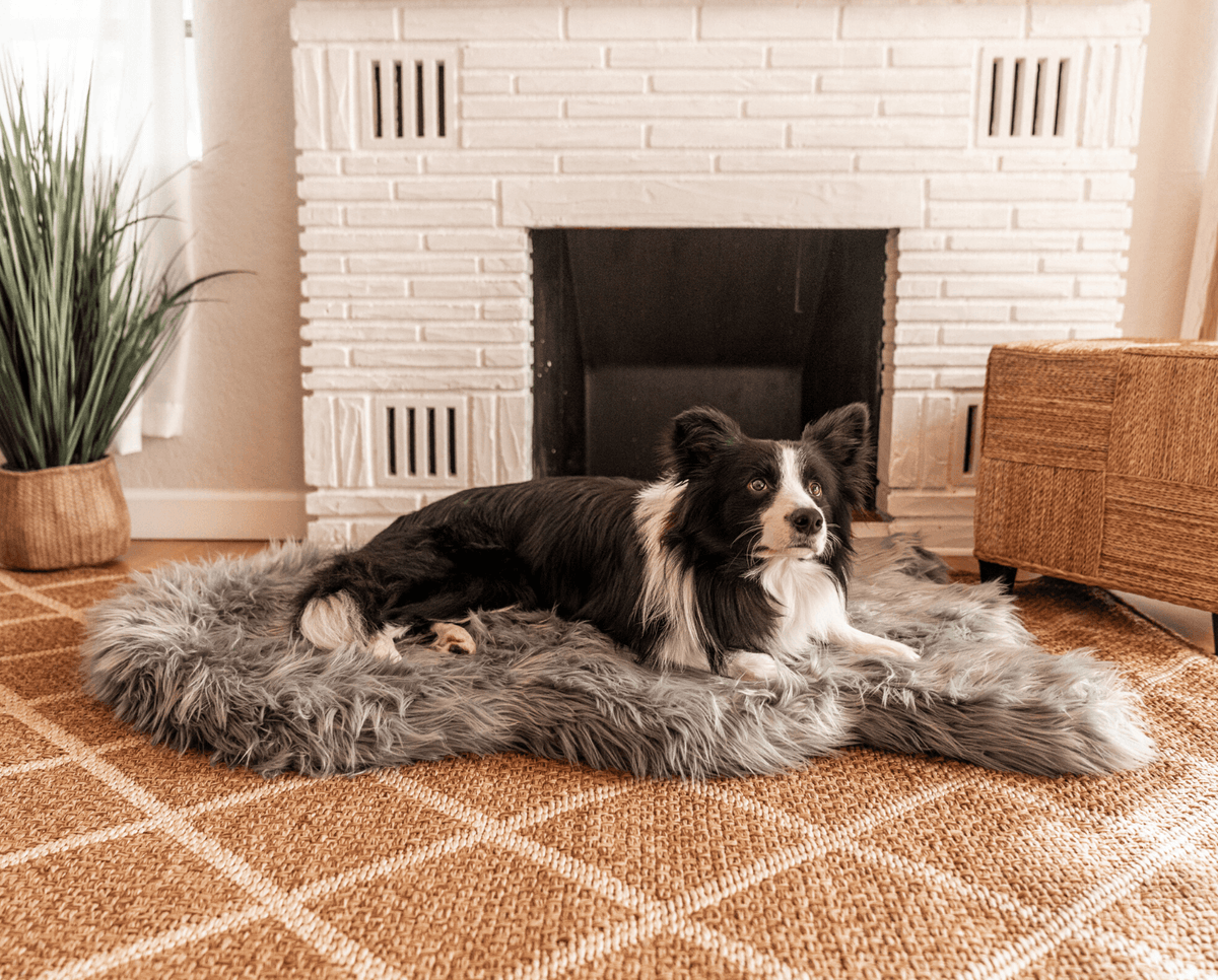 PupRug by Paw.com® Faux Fur Orthopedic Dog Bed - Curve Charcoal Grey image 5