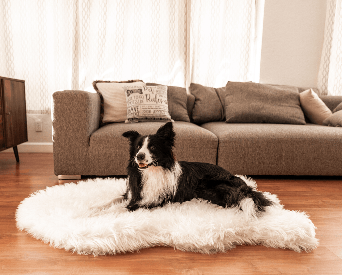 PupRug by Paw.com® Faux Fur Orthopedic Dog Bed - Curve Polar White product image