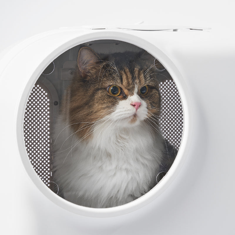 Smart Pet Traveler with LED Lights and Ventilation System image 2