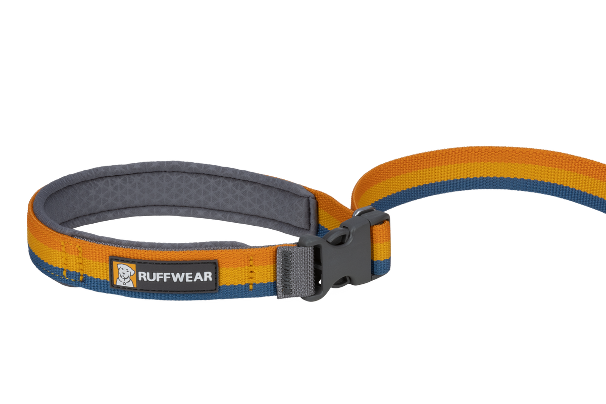 Roamer™ Bungee Dog Leash image 5