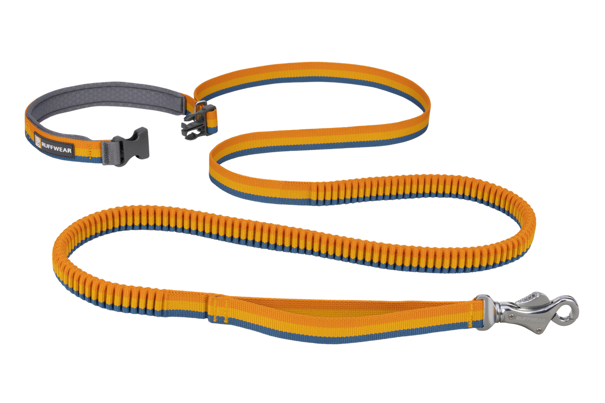 Roamer™ Bungee Dog Leash image 4