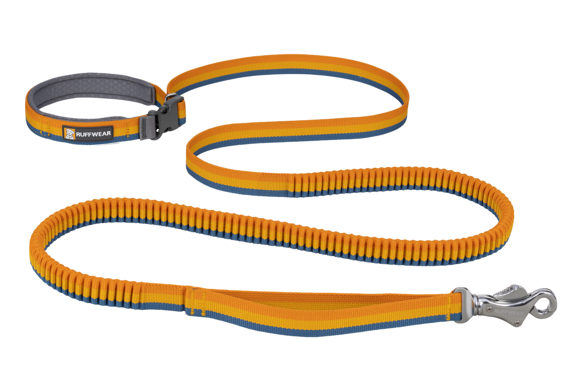 Roamer™ Bungee Dog Leash product image