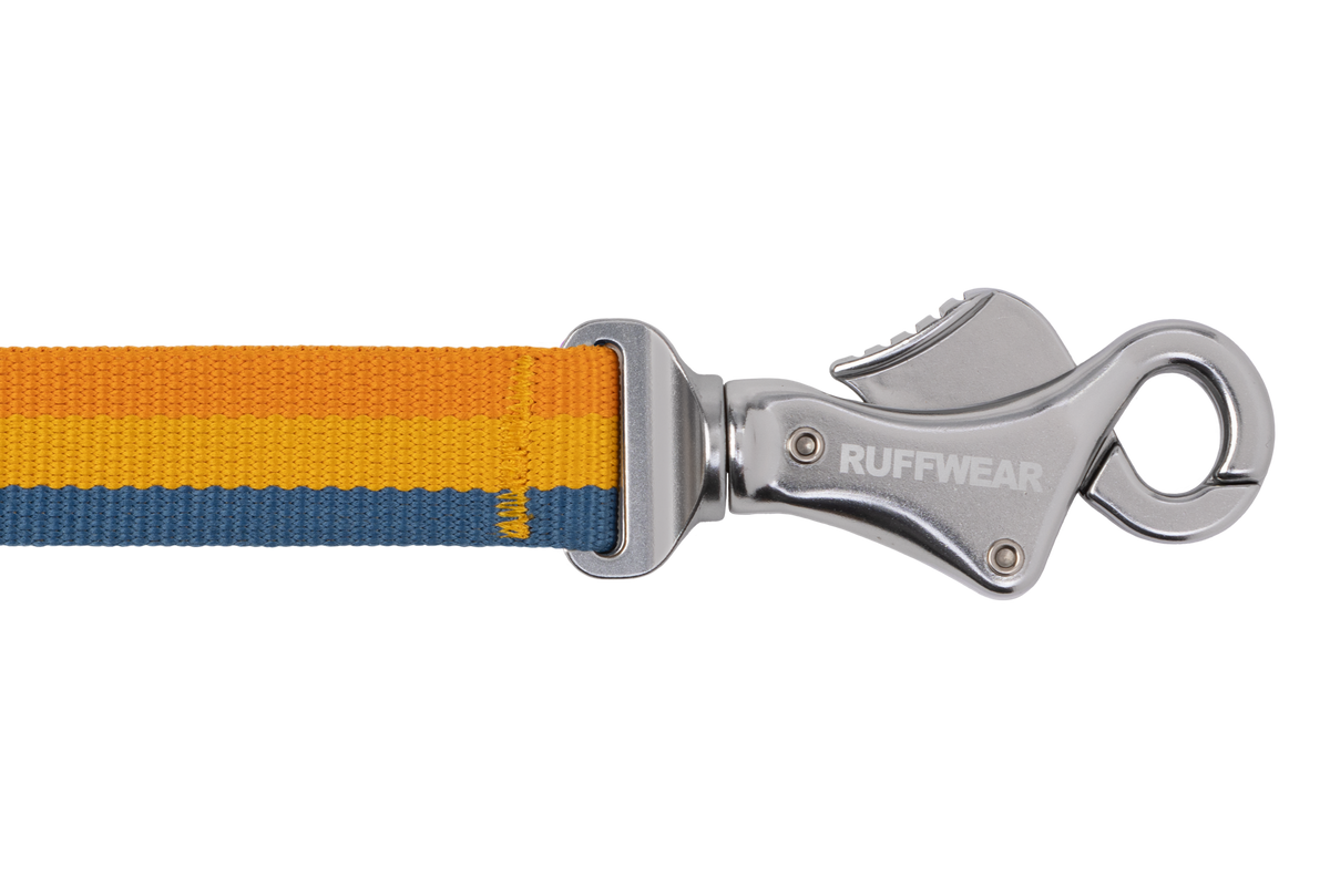 Roamer™ Bungee Dog Leash image 3