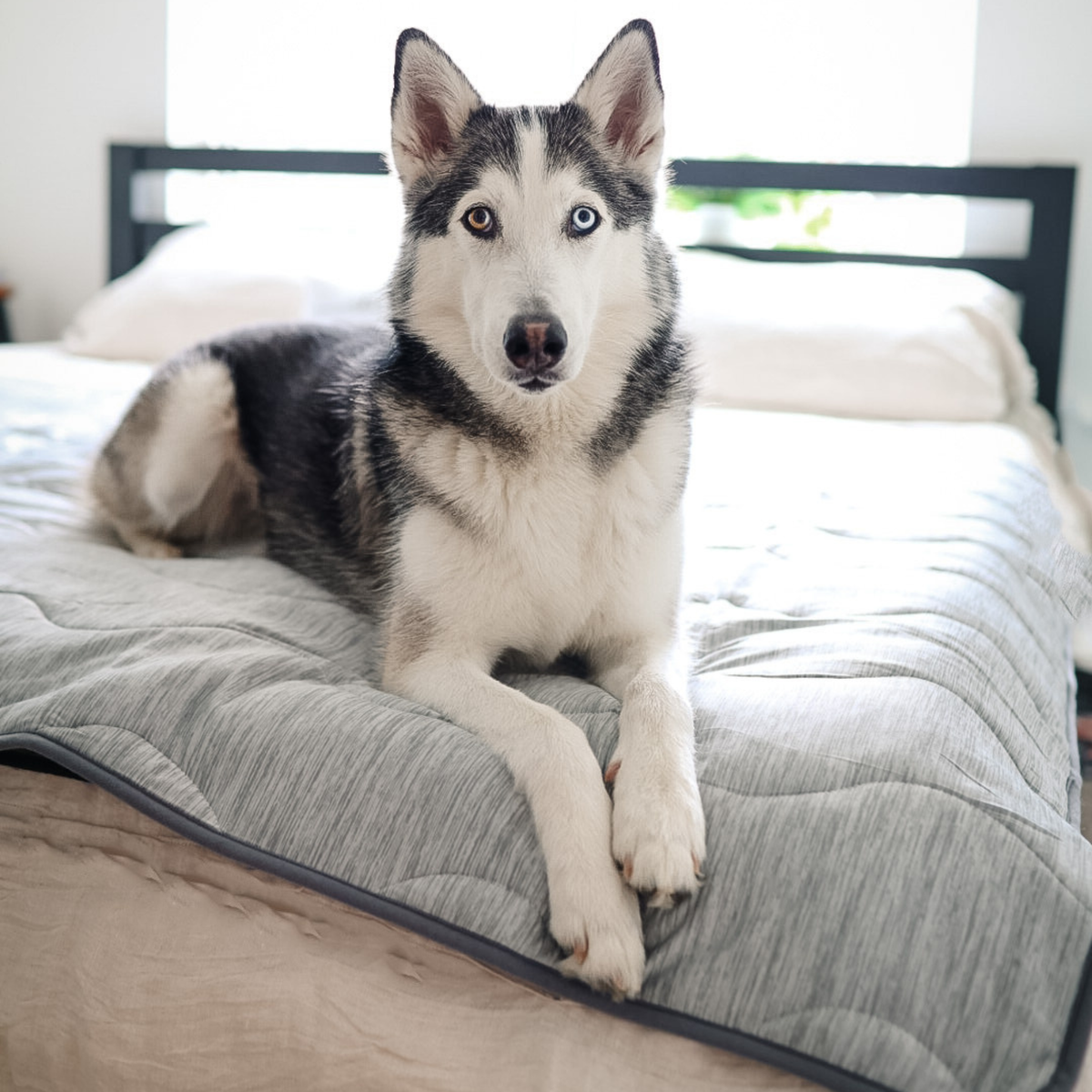 PupChill™ Cooling Waterproof Blanket - Arctic Grey image 3