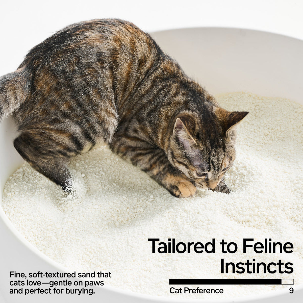 Cassava Cat Litter image 3