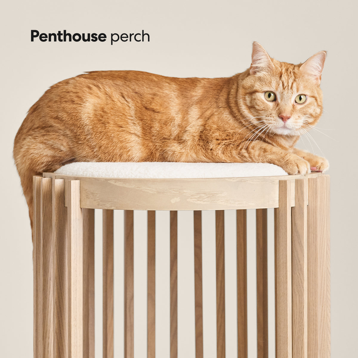 Grove Cat Tower image 4