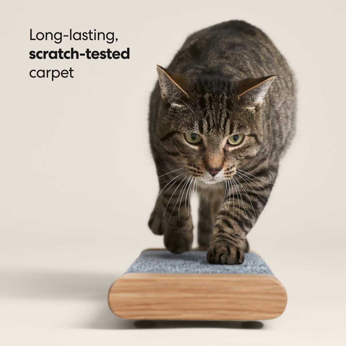 Tab Scratching Board image 4