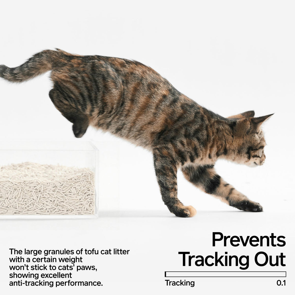 Natural Tofu Cat Litter image 3