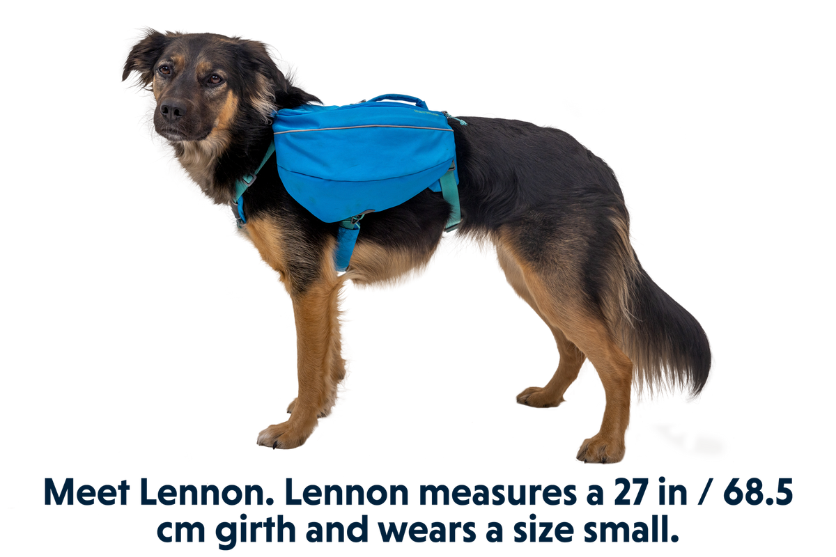 Approach™ Dog Backpack image 3