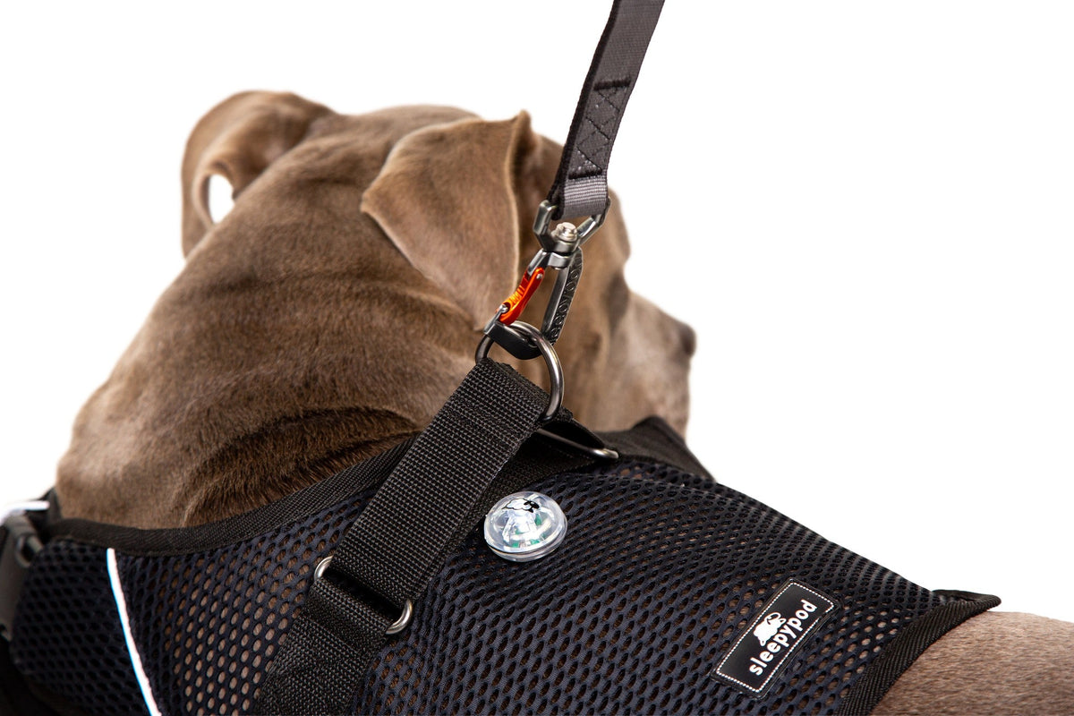 Martingale Calming Harness for dogs image 2