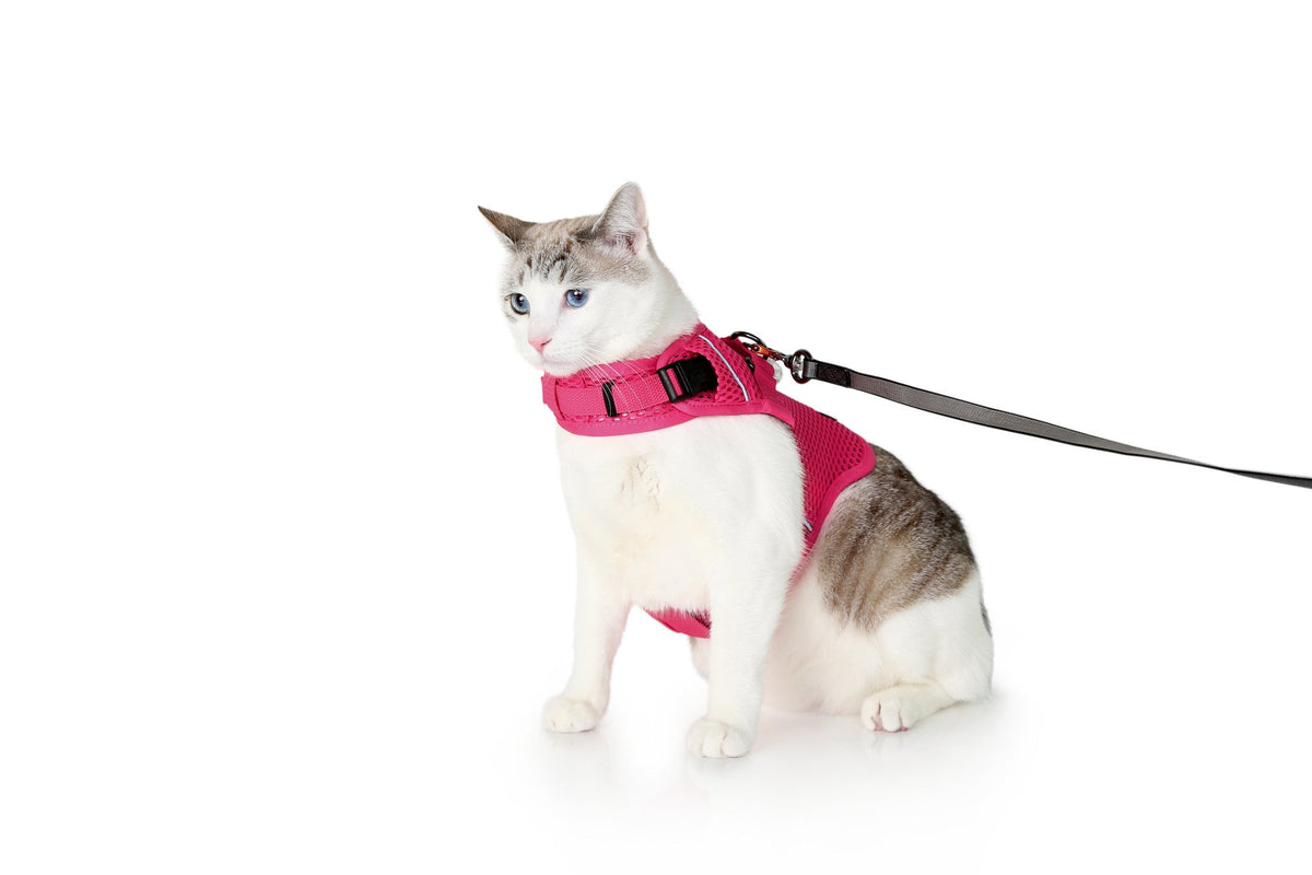 Martingale Calming Harness for cats product image