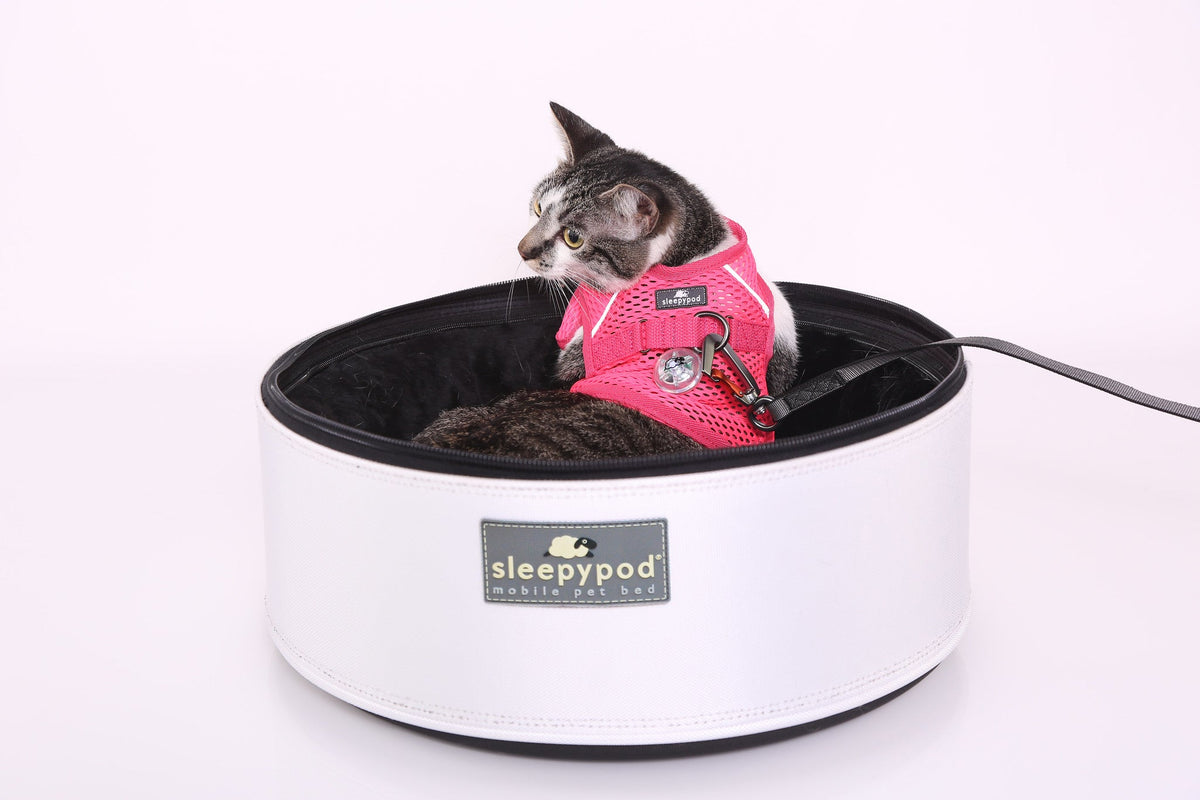 Martingale Calming Harness for cats image 3