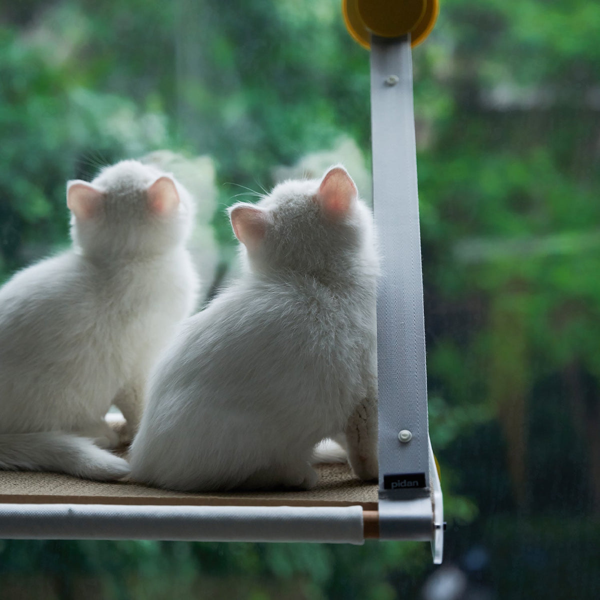 Cat Window Perch - Sunbathing Time image 2