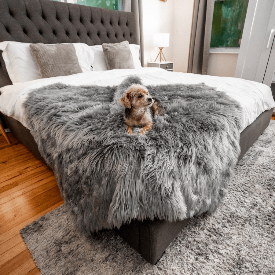 PupProtector™ Waterproof Throw Blanket - Charcoal Grey image 2