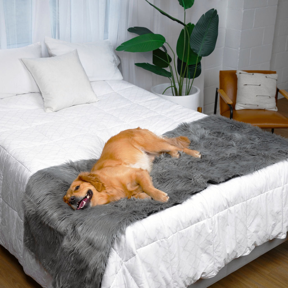 PupProtector™ Waterproof Bed Runner - Charcoal Grey image 5