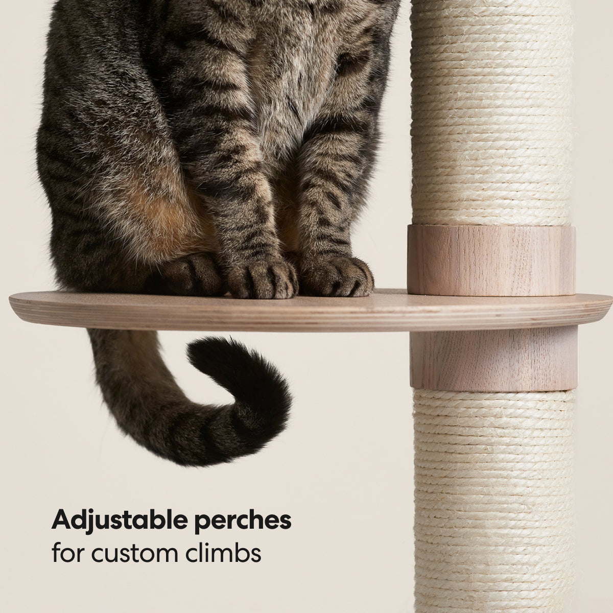Frond Cat Tree image 5